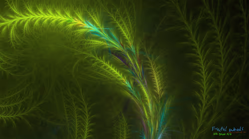 Item #32177667884503912165894813812378854339514359975732135241393141813525501444097 Media