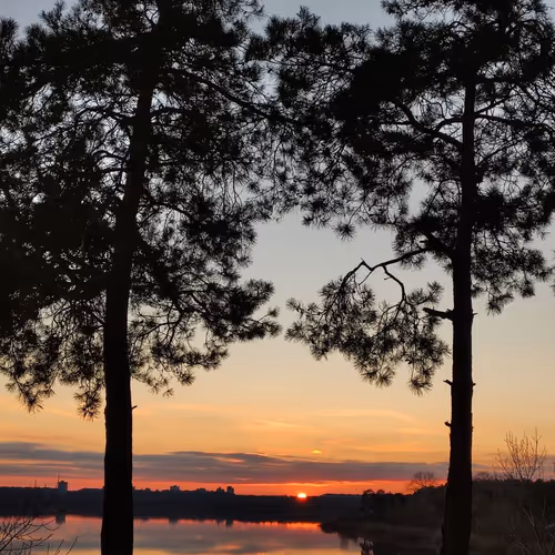 Untitled Collection #11463902