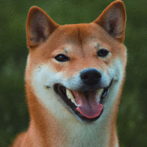 Item #34470142884482375674331152583341387110725961593908059002011227510365501784065 Media