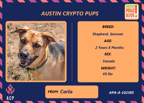 Item #17951378556605612276483806045649535824451571419947225201384628507353454477313 Media