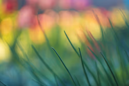 Item #54782985974607347148720532699414835129345073352407786523574901513230410055683 Media