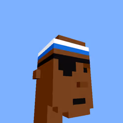 PunkVoxels #0595