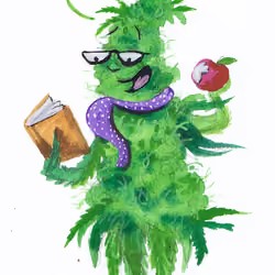 Reader 