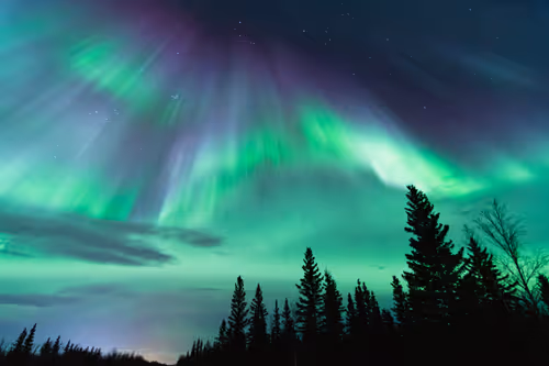 Item #21114313984647103593433237595897787432123742912884964135570648062399071911937 Media