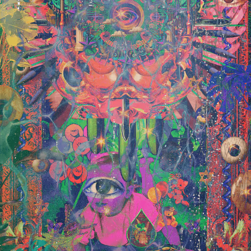 nobodysnft Collection