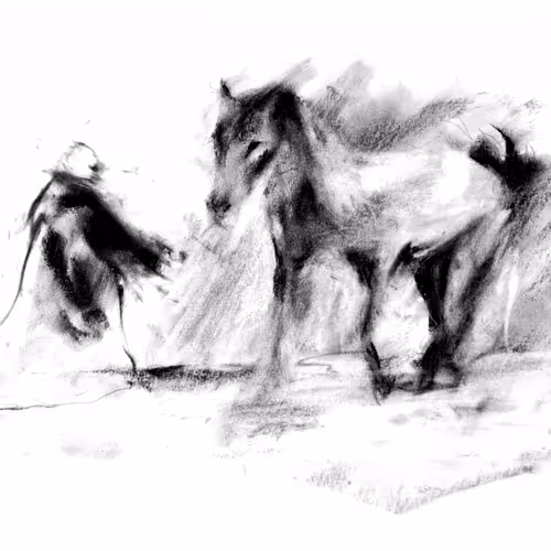 9132124621156162447264105845590285150117621556178149797008197688203463884925