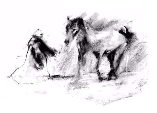 Item #9132124621156162447264105845590285150117621556178149797008197688203463884925 Media