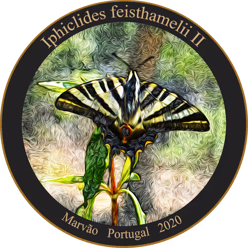 Item #83346383481971607988729477170446348570292642791419063456680174189084785246209 Media