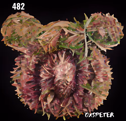 Item #8614619648028104122686713422647169296627312918645631363009402483440745447425 Media