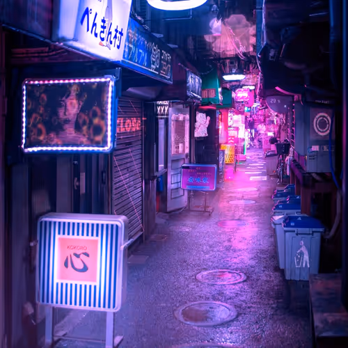 Tokyoluv Collection