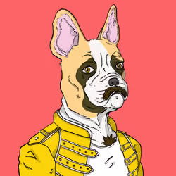 Fabulous Frenchies #Freddie