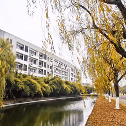 学校一角