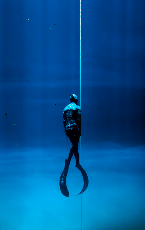 Item #25422583313571458459737529461820134862175223810011730482418987939836188426241 Media