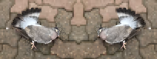 Item #13460464421436088778731323307573404428688464014361117111881533519893362638849 Media