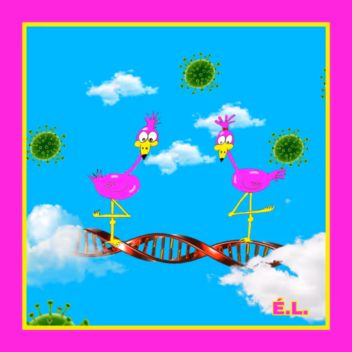 Item #106477516602444988707344320621519478689656537935053409289681727270228397654017 Media