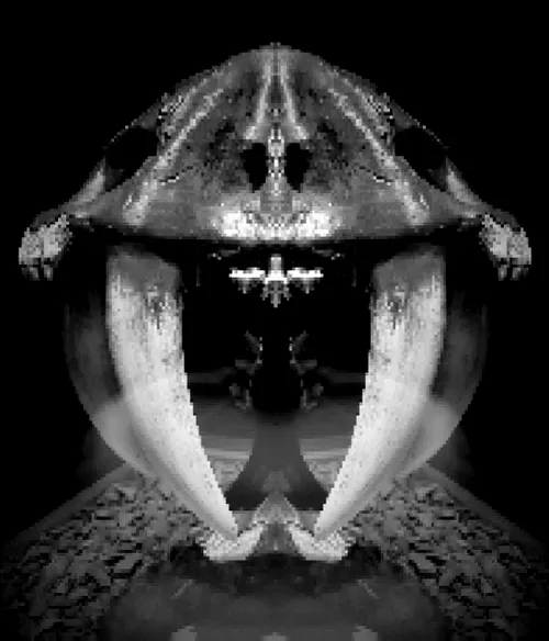 Item #52026421495237307124508671678768982950120800692193749930383155265635522445313 Media