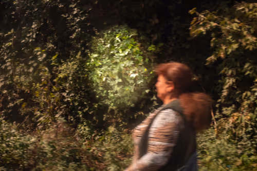 Item #8293050977498067439738640211663030445621008093446820664285481008609156399105 Media