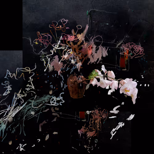 Petra Cortright 999flower