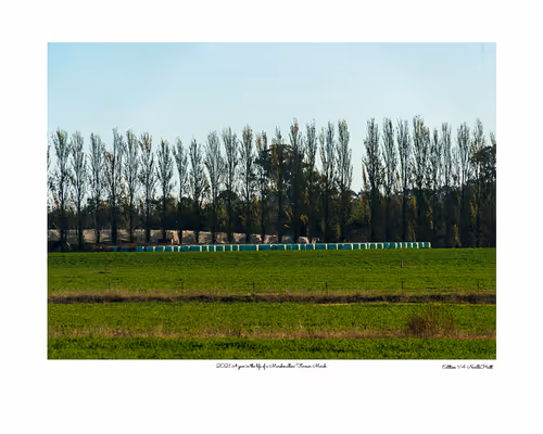 Item #24600310660482288606297797528155087939323639147399647196853483695216353345537 Media