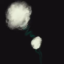 Untitled 6