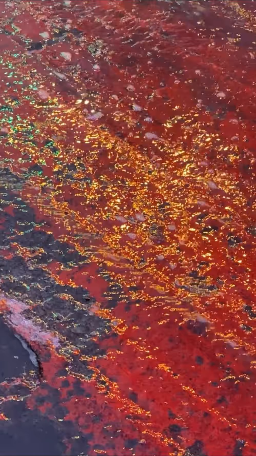 Item #62402000334580523921237358418718502457721815832787791947048085178248364818433 Media