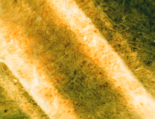 Item #71646257518770613568983710813551014237803002136866425209291834366043168440321 Media