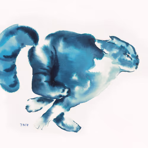 meaow#03