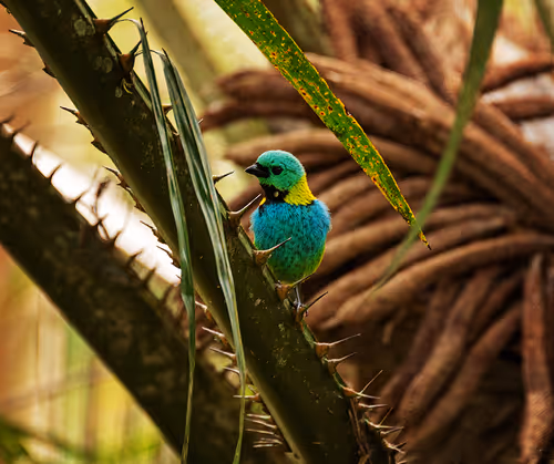 Item #52866533446256947539128955257179026022182065840337043931720506896288598458378 Media