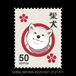 SHIBA_BLACK #2291021-2121311