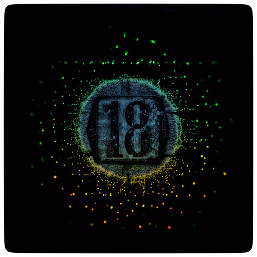 #18