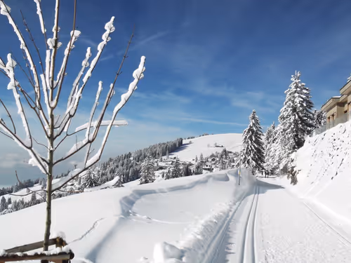 Item #57616968774937305667495645743759075996351860147408322149889343967868106047489 Media