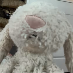 Fear the Bunny