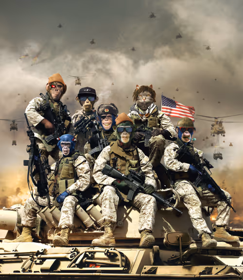 Item #11477097438385743368340173784731115516435805291836350507195325149327053029386 Media