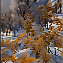 Leaves of memories