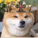 bullbro Collection