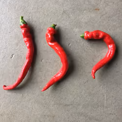HOT PEPPER #2