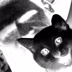 4747115153065902387790593868107453782499677024781155622119190063169195212801