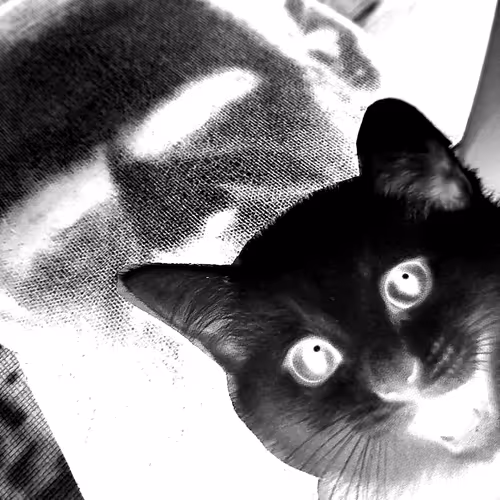 4747115153065902387790593868107453782499677024781155622119190063169195212801