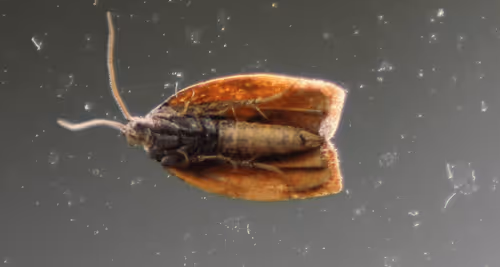 51124555051901614330264480006545612592022390906904121289505624532721910939649