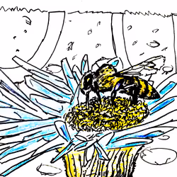Buzz