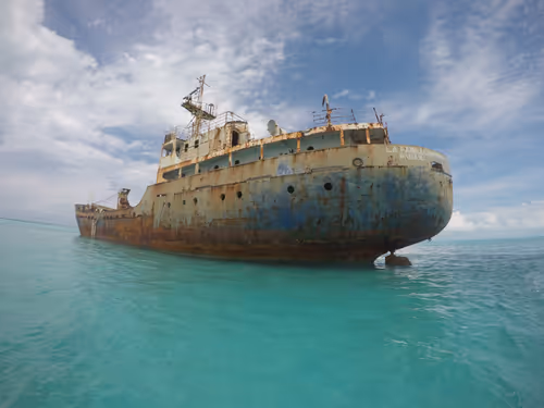 Item #6782592265161094268485569612899971122952052178692894011174027229954331115521 Media