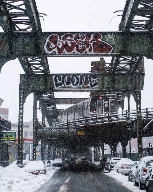 Item #26496075620781707602062900041822142517414676884450269992691667286896079273985 Media