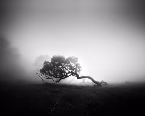 Item #46448320690235251329430811416754344806900568811050689934660167658952537931777 Media