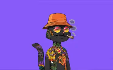 Untitled Collection #463132605