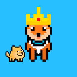 Shiba 249