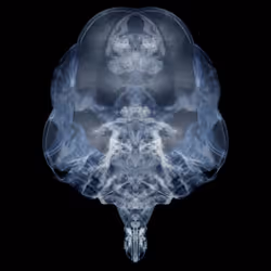 85859191866638808365331437874953228966785819470149775310971063517702575357953