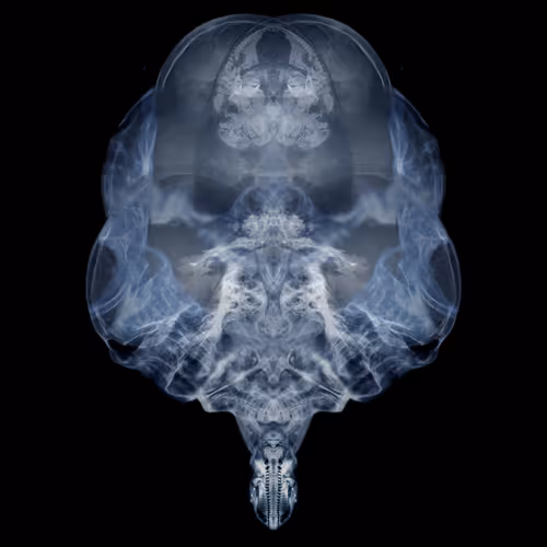 Item #85859191866638808365331437874953228966785819470149775310971063517702575357953 Media