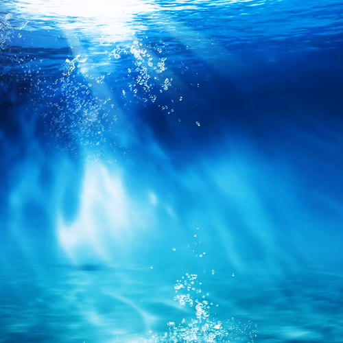 seabed