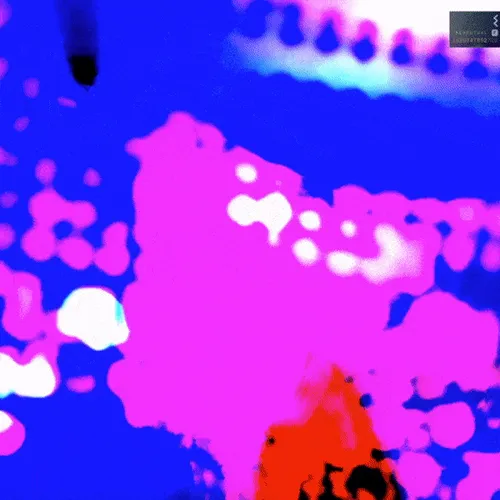 Item #90620065648373492361643371258411398171299878378245602300281469962568173879297 Media