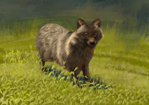 Item #113158669374427839684248314488913715368730880920869844839548125315655511572481 Media